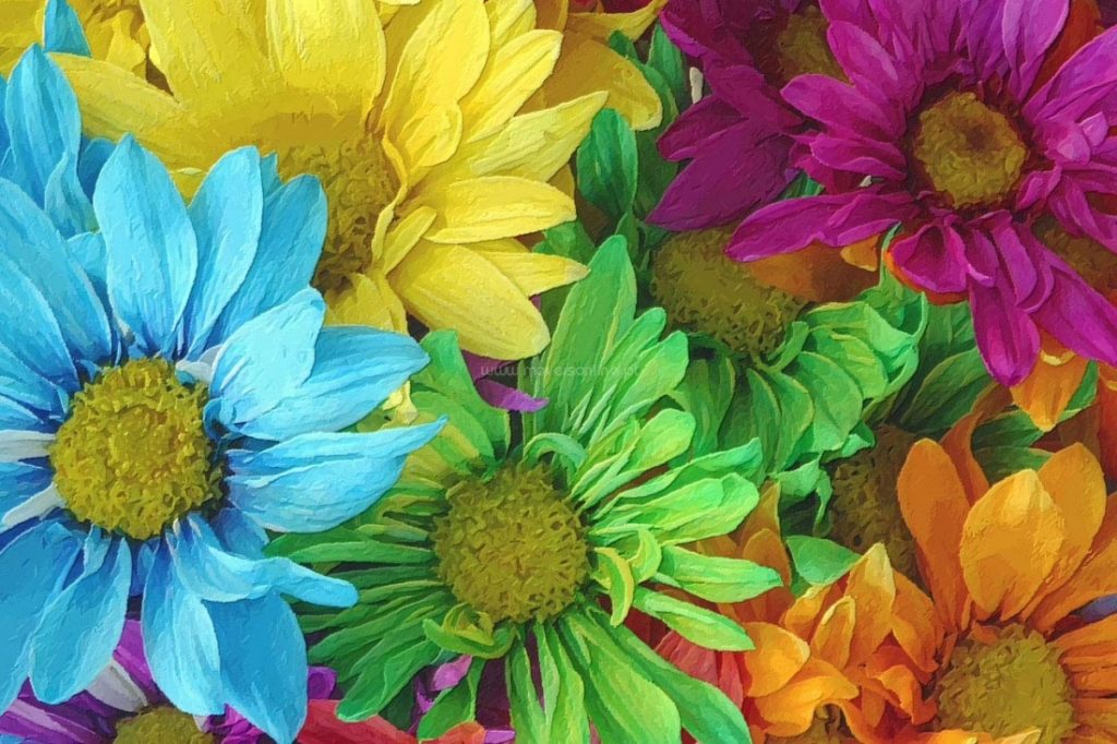 zenfone 5 lgg7 samsungS9+ HuaweiP20Pro